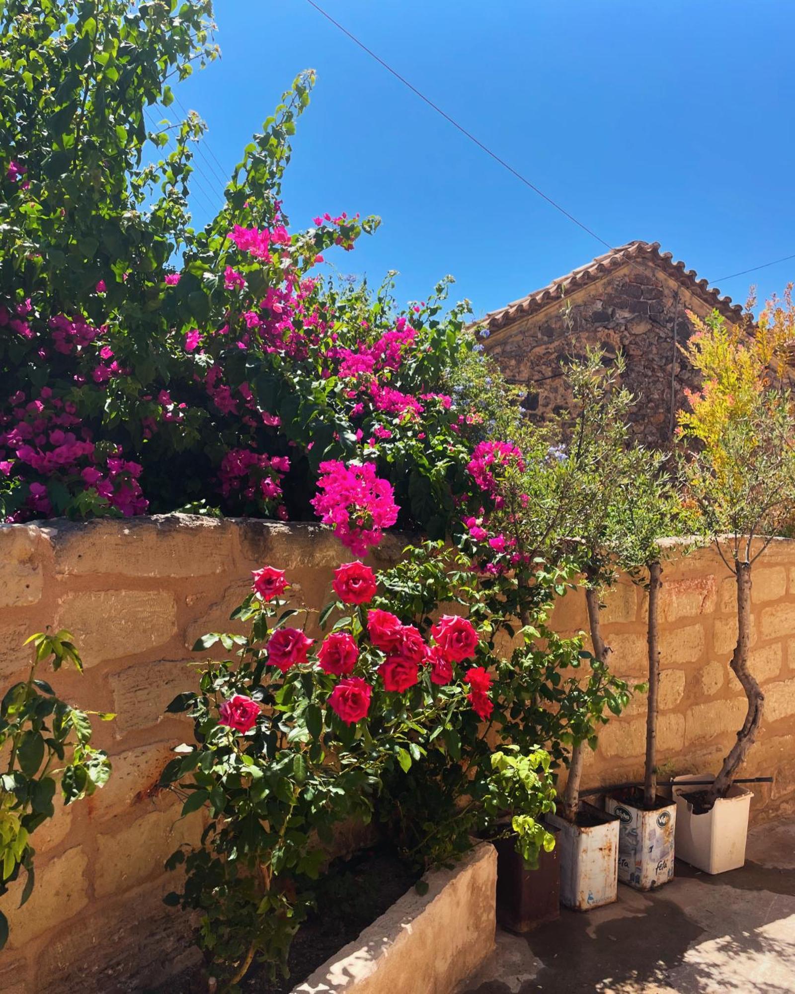Pyrgos Fassea Kardamyli Villa Eksteriør bilde